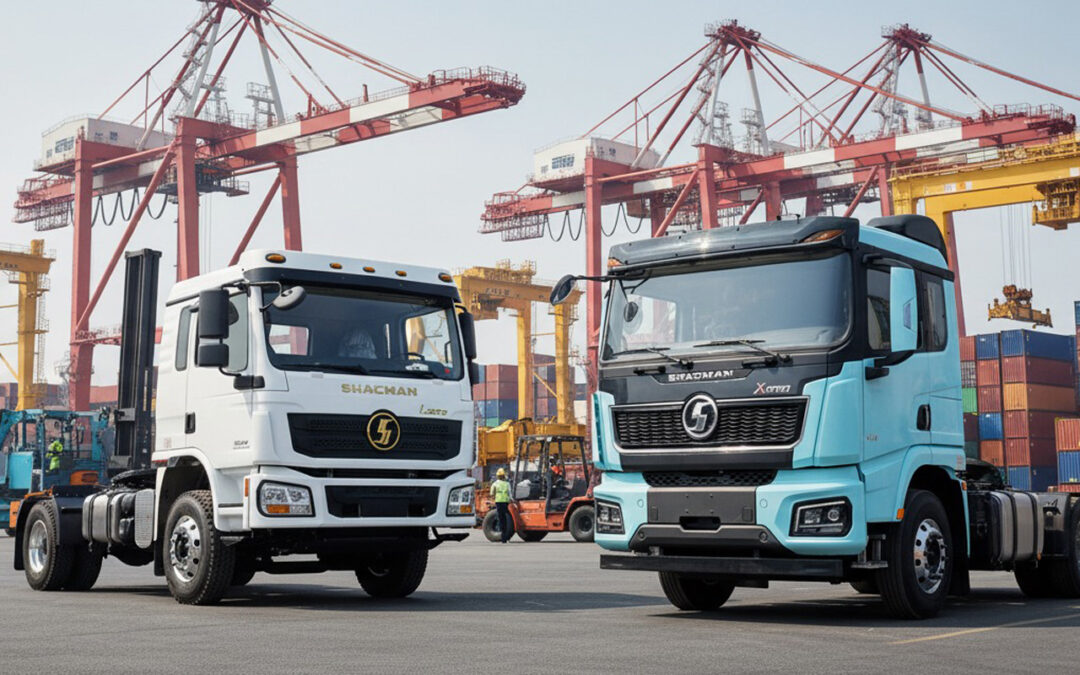 Mini mulas Shacman x5000